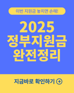 정부 지원금