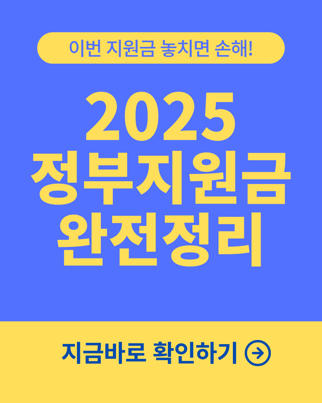 정부 지원금
